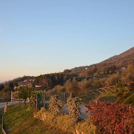 Locazione Turistica Villa Delle Rose Assisi Exterior foto